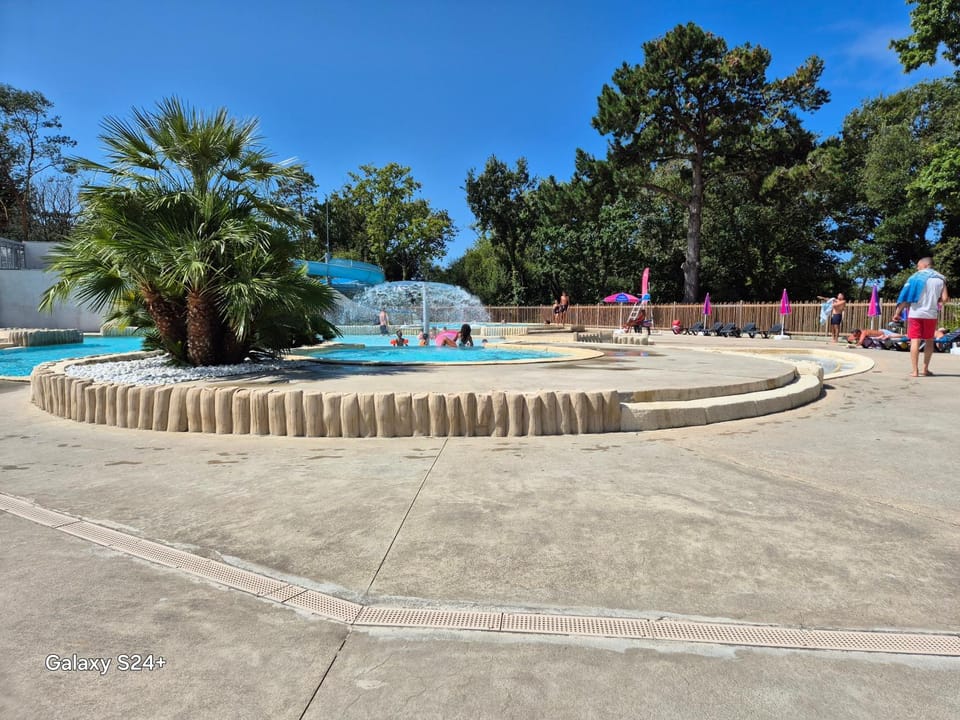 Day, Pool view, Swimming pool, sunbed