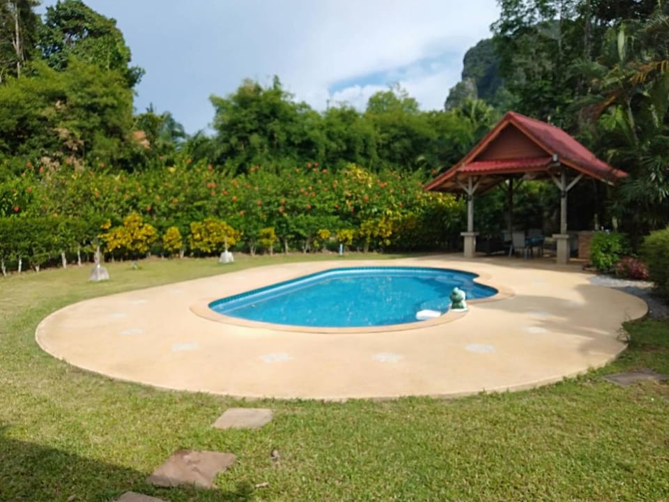 Garden, Pool view, Swimming pool, sunbed