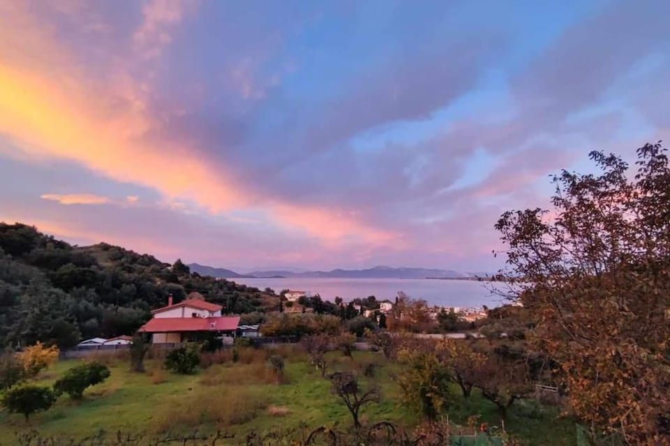 Natural landscape, Garden, Sunset