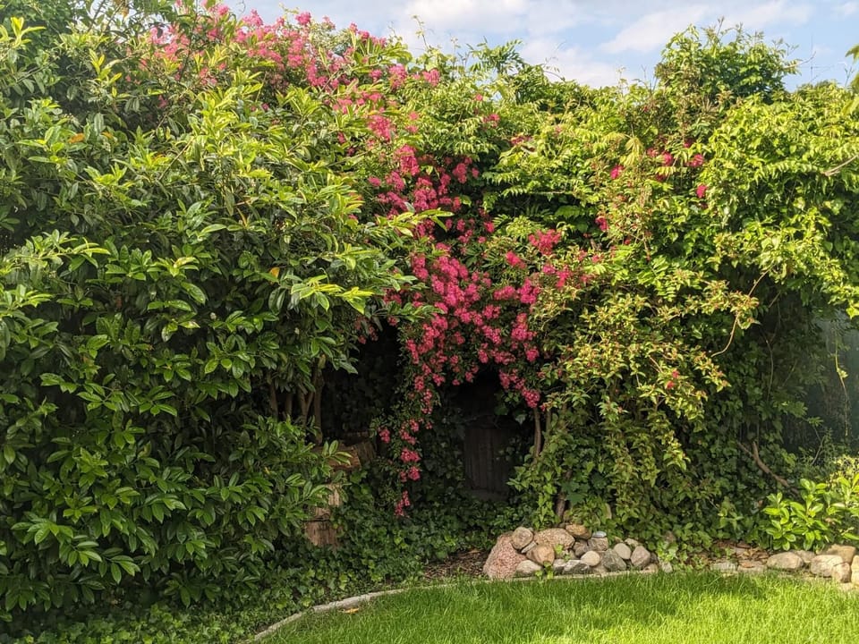 Garden, Garden view