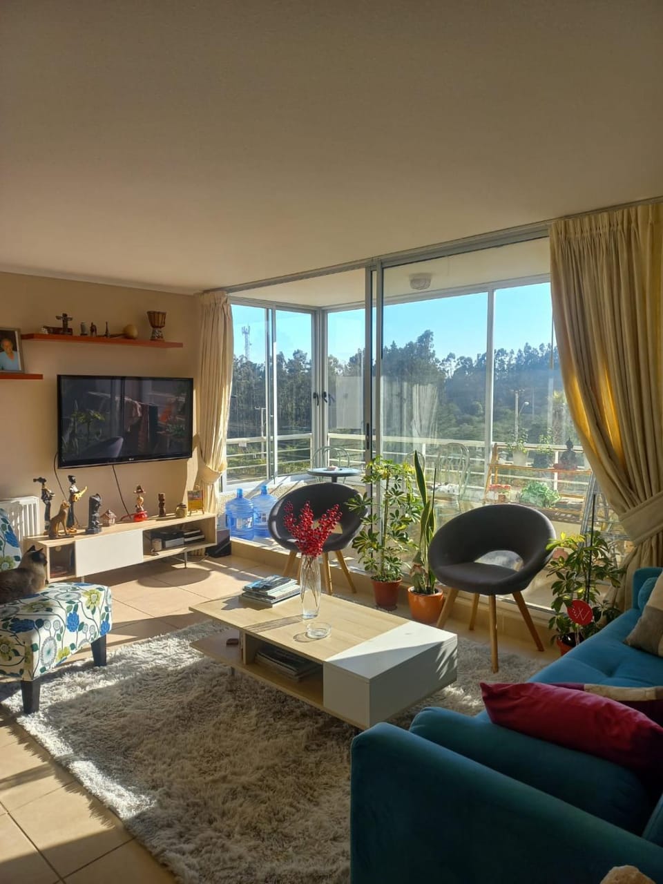 Communal lounge/ TV room, TV and multimedia, Living room