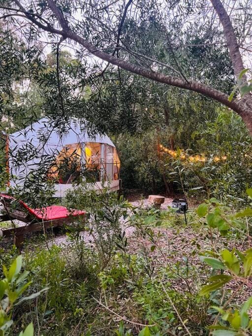Magia Glamping, Domo Full Moon, entre las sierras y el mar Apartment in Maldonado Department, Uruguay