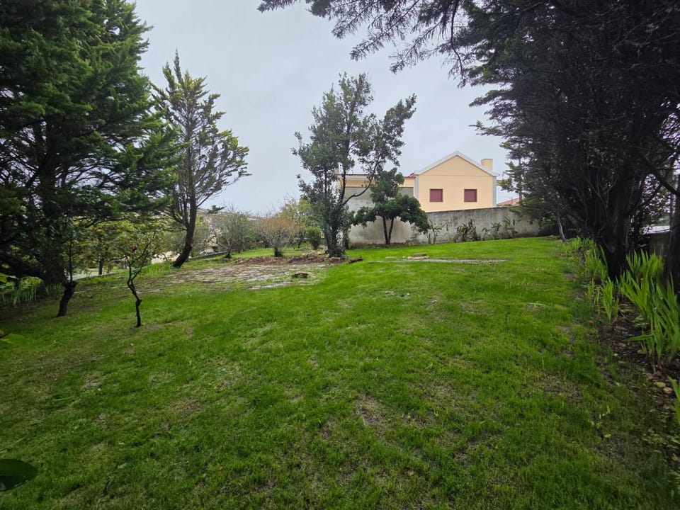 Property building, Garden, Garden view