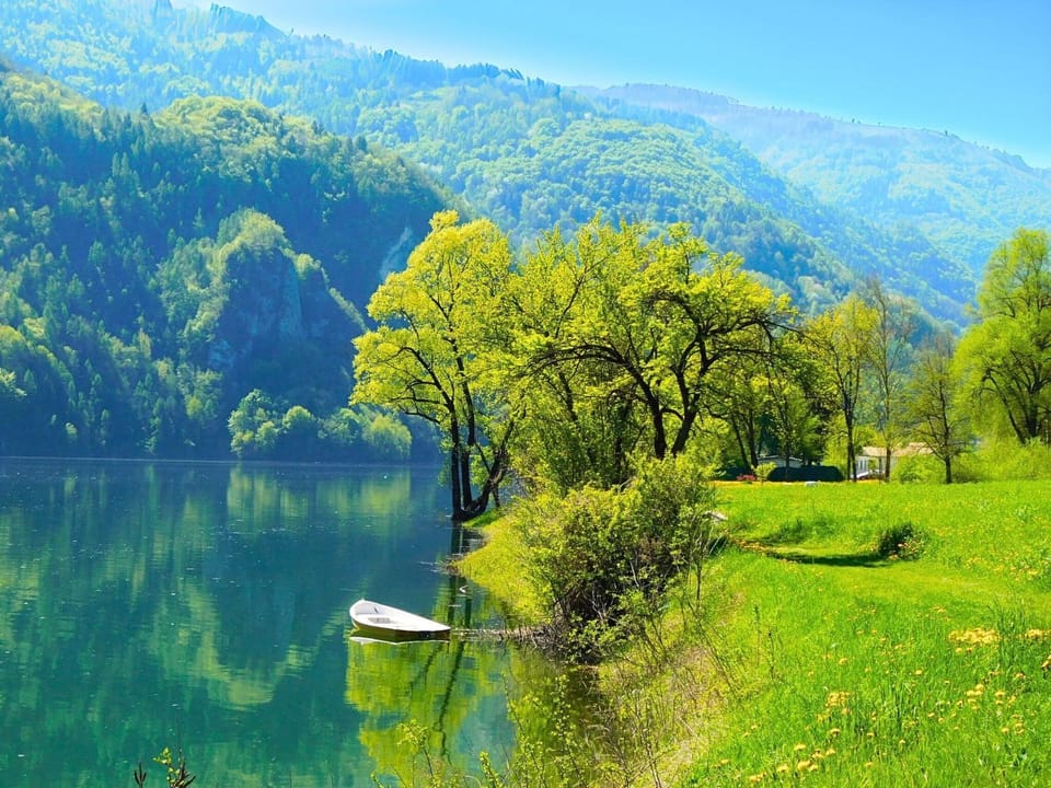 Spring, Activities, Summer, Autumn