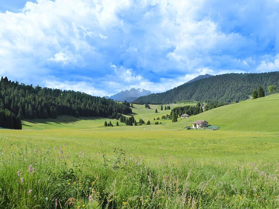 Spring, Activities, Summer, Autumn