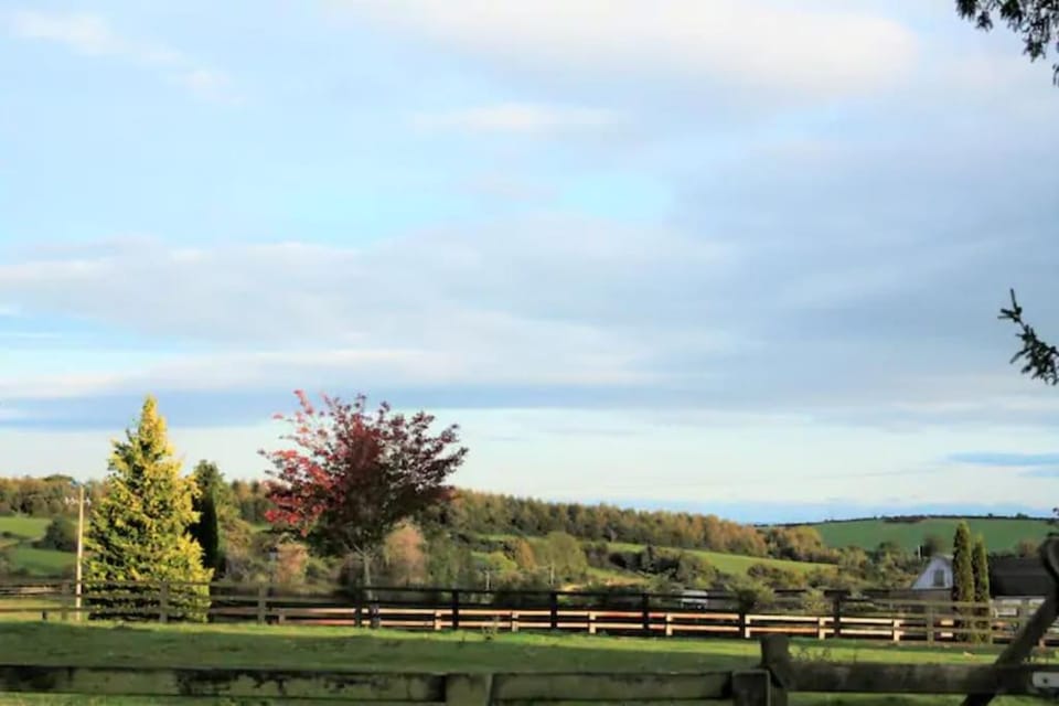 Natural landscape, Quiet street view