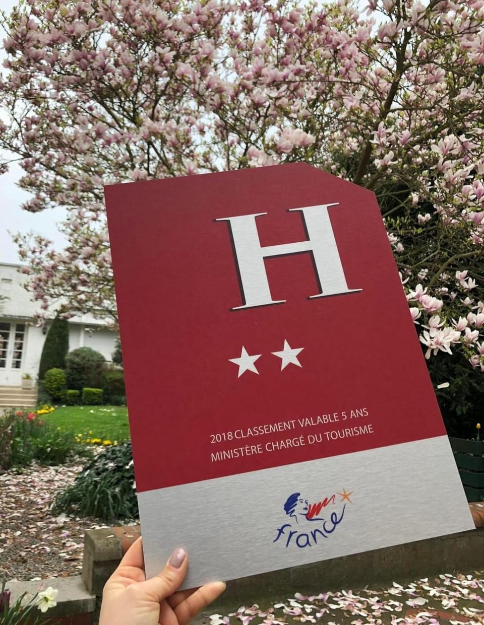 Logo/Certificate/Sign
