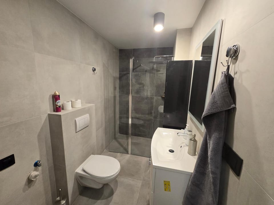 Shower, Toilet, Bathroom