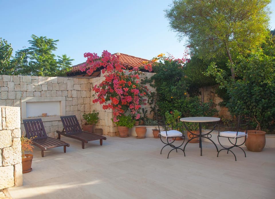 Patio, Garden