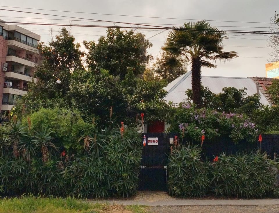Property building, Garden view