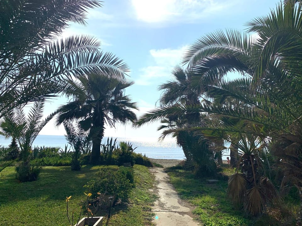 Day, Natural landscape, Summer, Beach, Garden view, Sea view, Location, Sunrise, Sunset