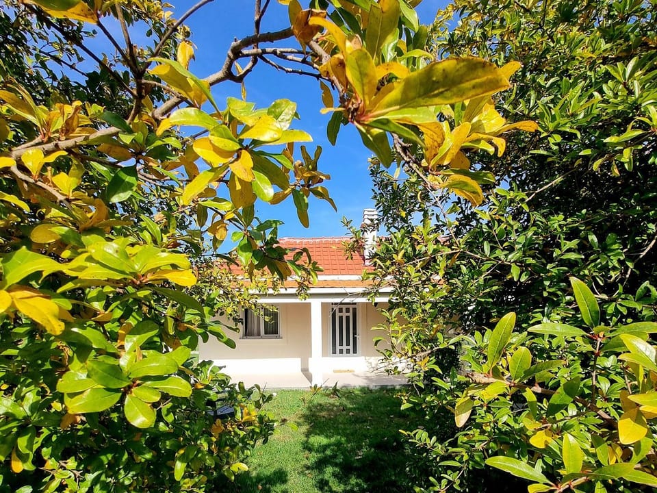 Apartment Matija Airport Apartment in Podgorica