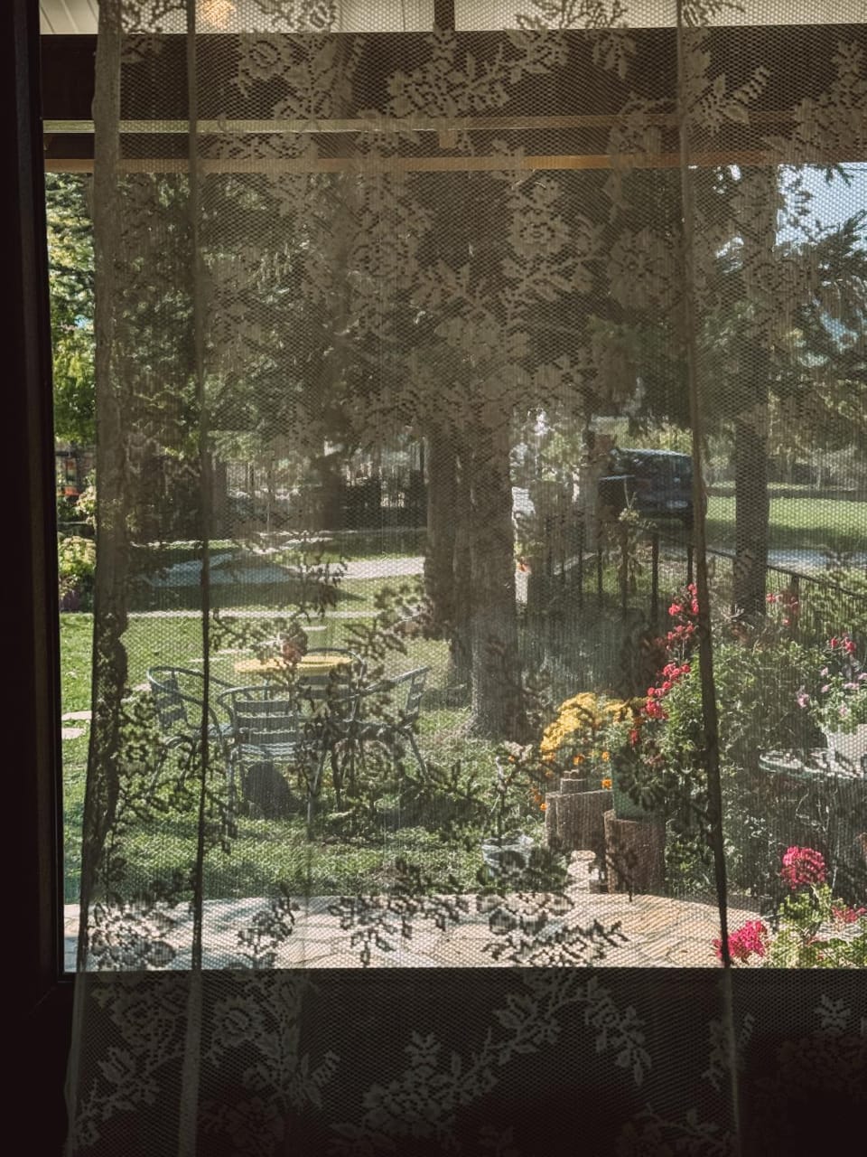 View (from property/room)