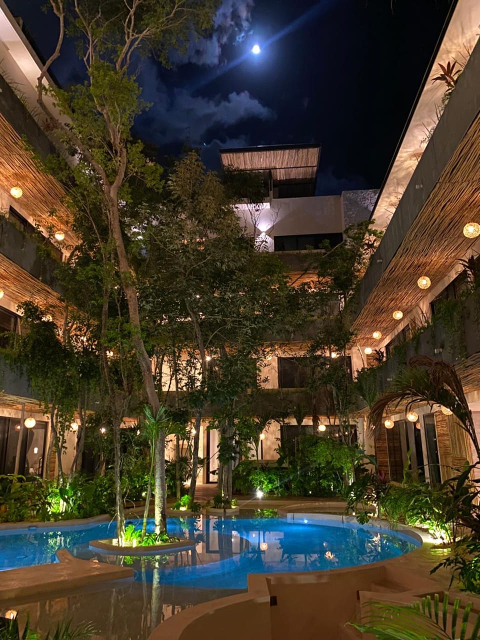 Garden view