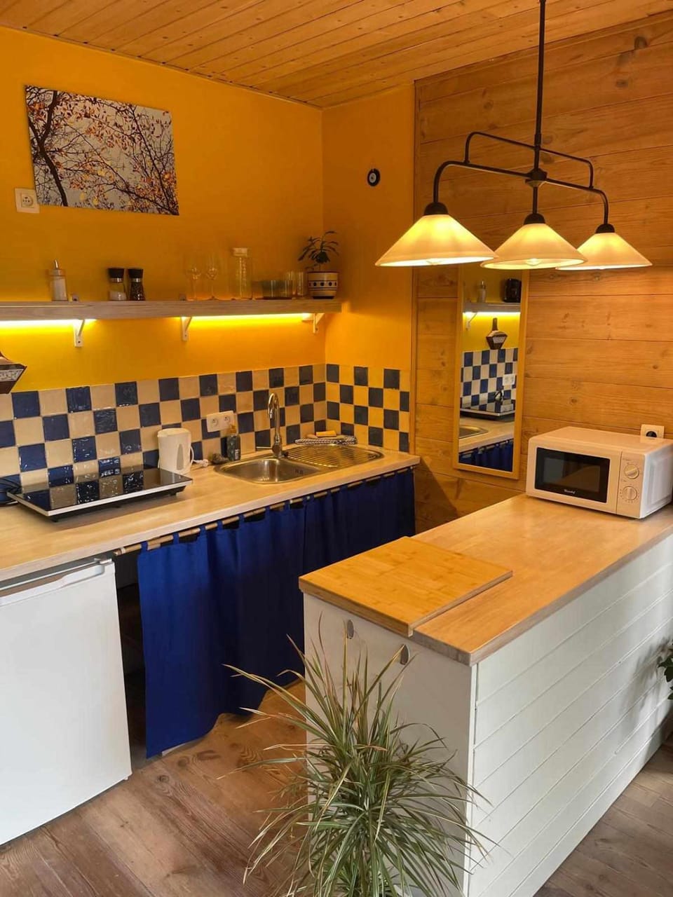 Kitchen or kitchenette