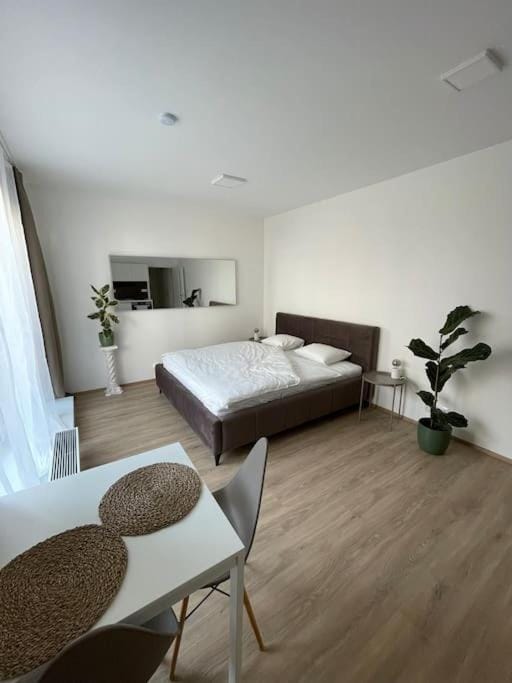 Apartament 2 Apartment in Brno