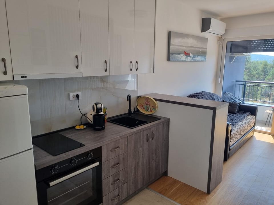 Nata Apartment in Zlatibor District, Serbia