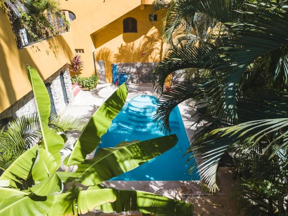 Tranquil Studio in the Heart of Town with Heated Pool Apartment in Sayulita