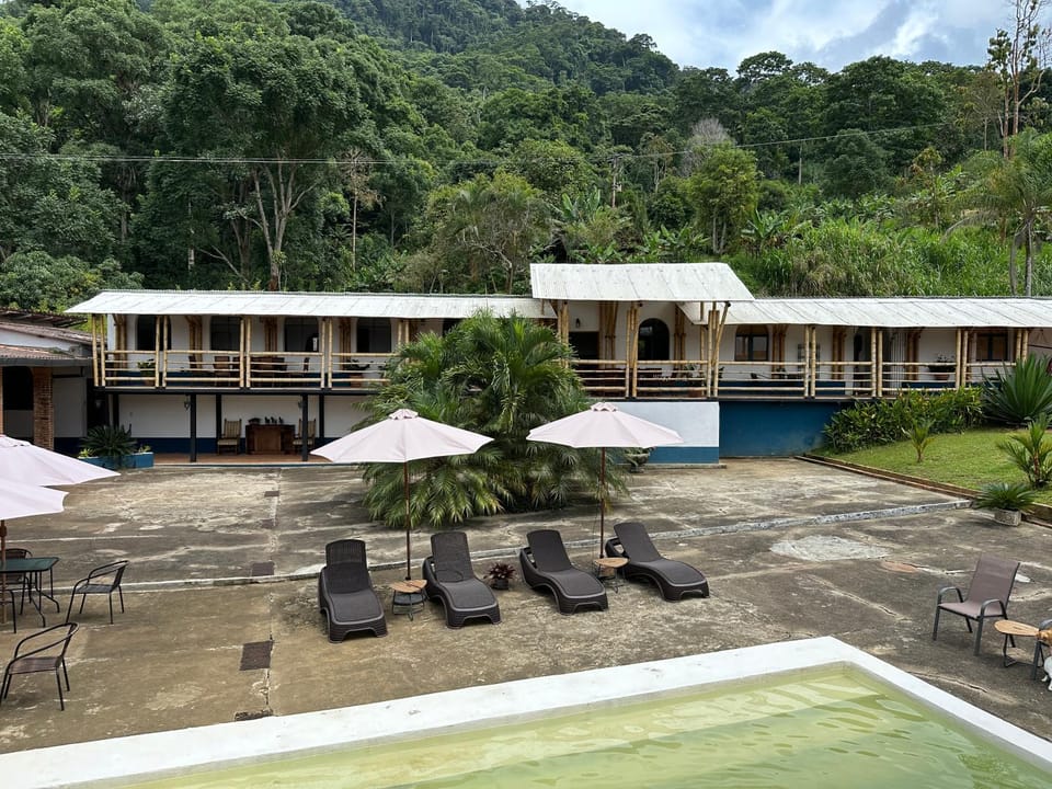 Day, Mountain view, Swimming pool, sunbed