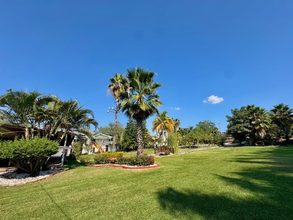 Garden, Garden view
