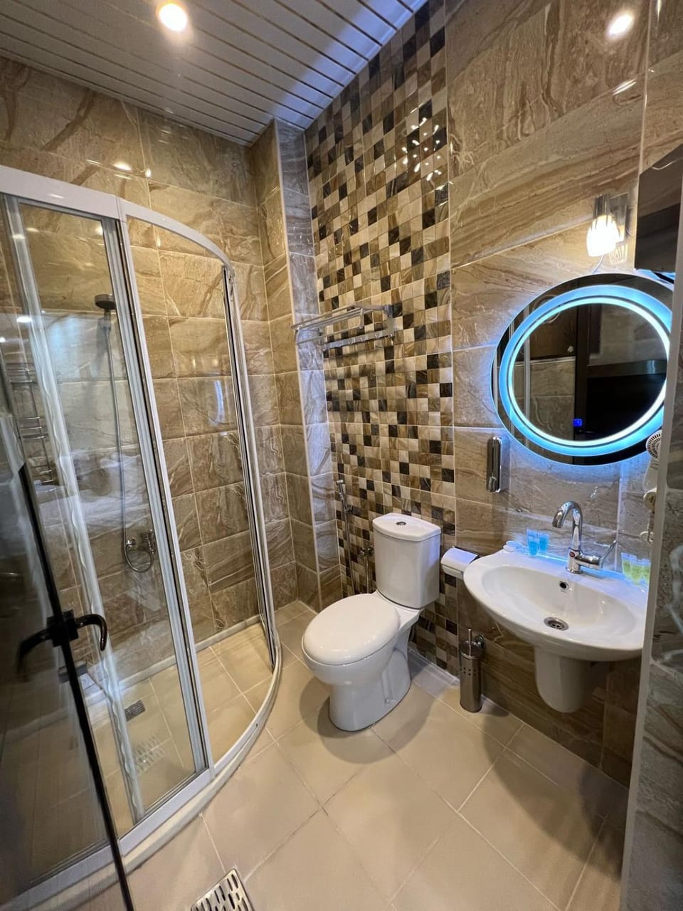 Shower, Toilet, Bathroom, bidet