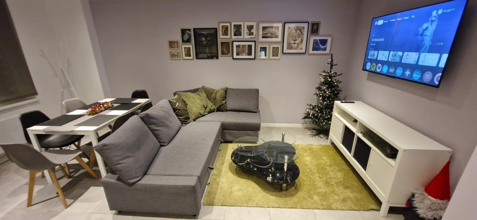 Entire house with arcade machine in a private backyard, 3 bedrooms, 1 bathroom, 1 leaving room with convertible sofa and open kitchen Apartment in Mulhouse