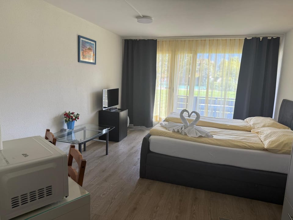 Studio 102 - Riverside Apartment in Interlaken
