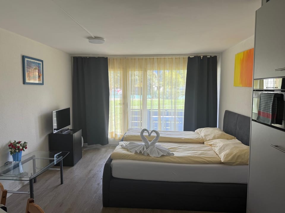 Studio 102 - Riverside Apartment in Interlaken