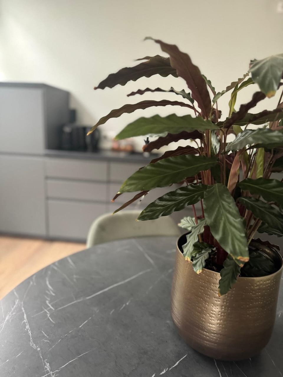 Kitchen or kitchenette, kitchen, kitchen