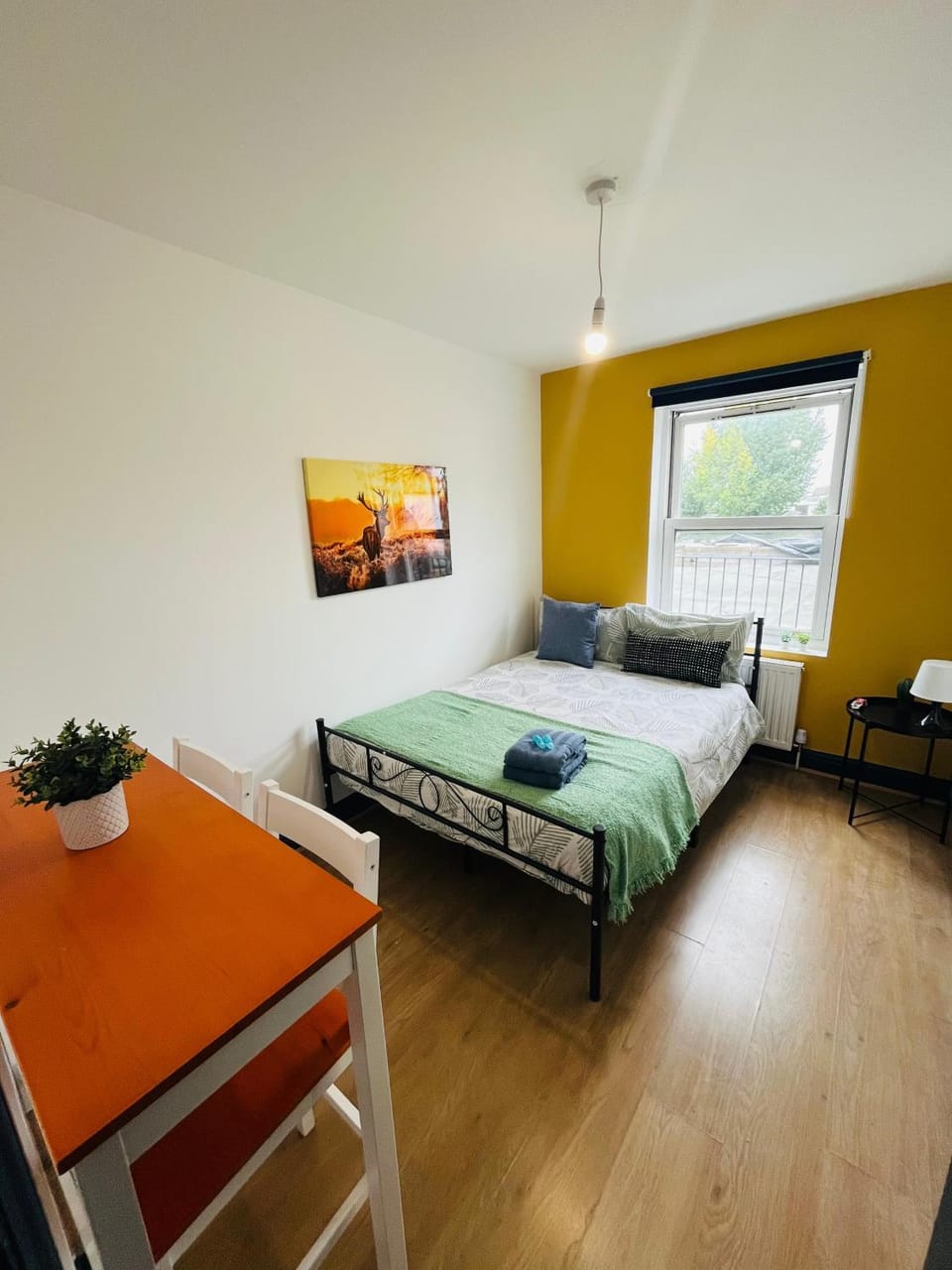 Bed, Photo of the whole room, Bedroom