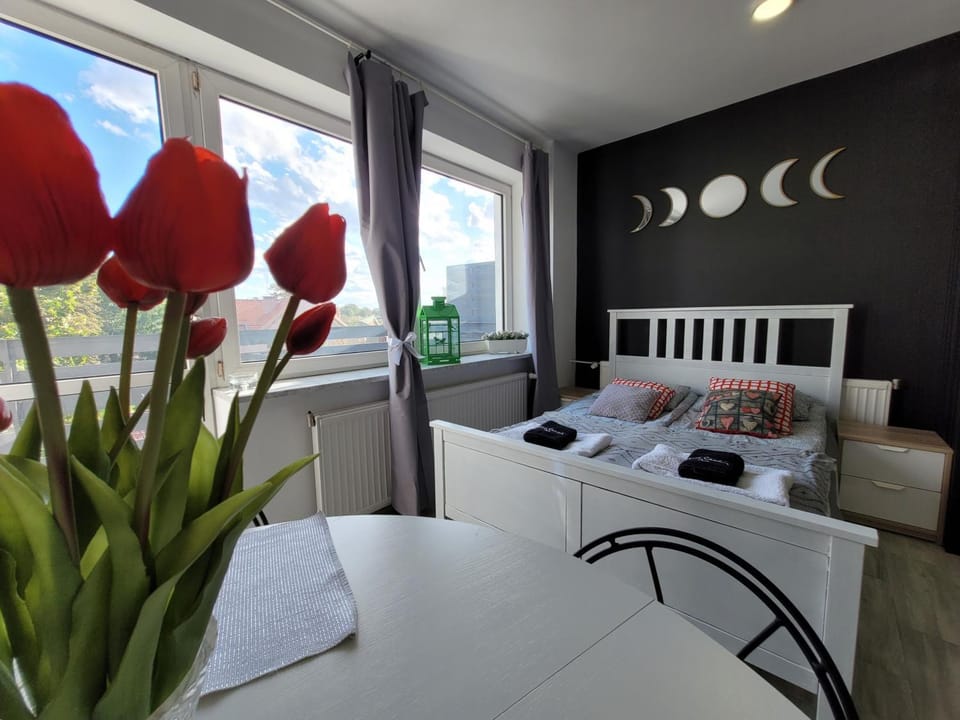 Bed, Photo of the whole room, Dining area, Bedroom, towels