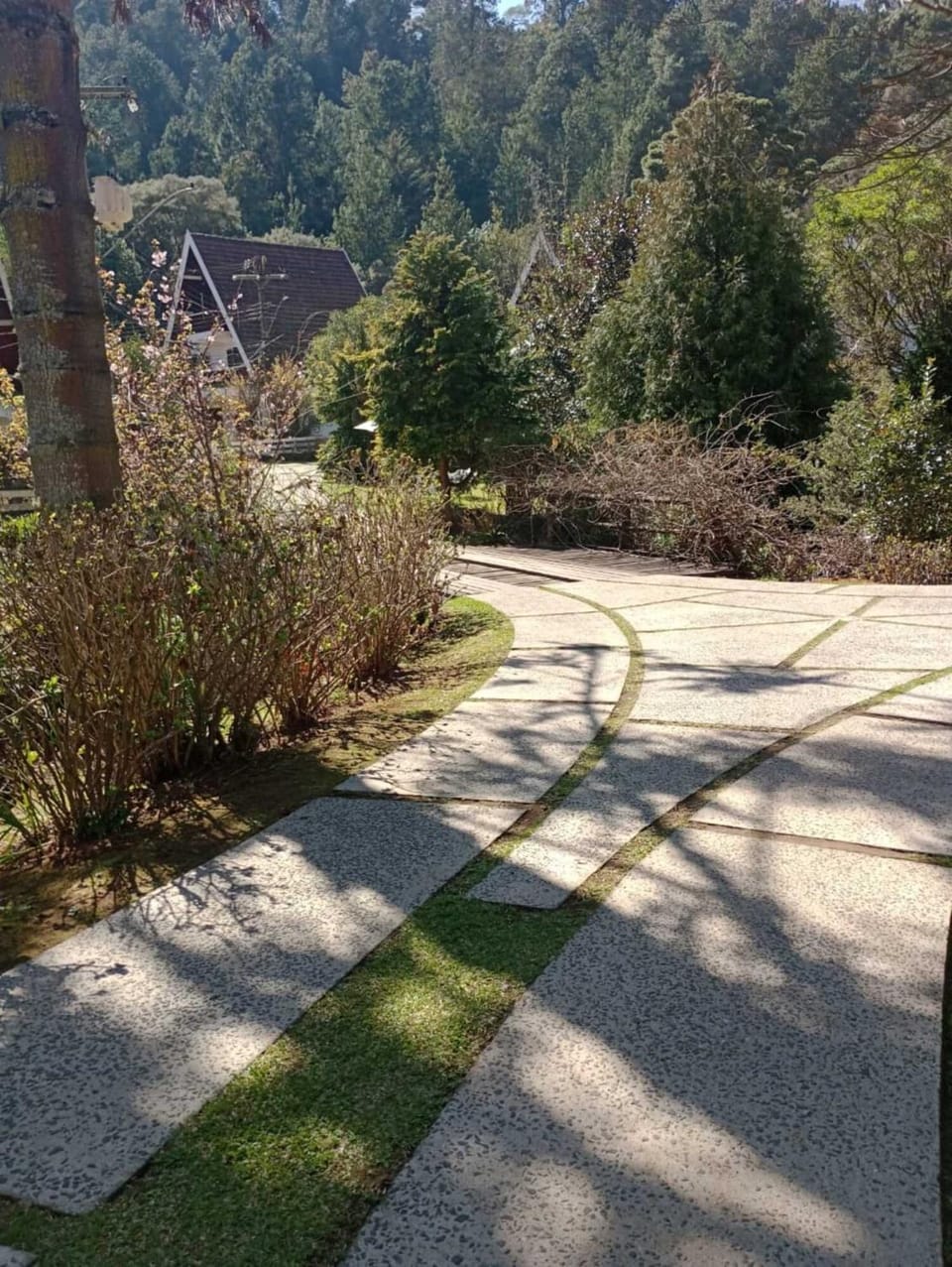 Natural landscape, Garden