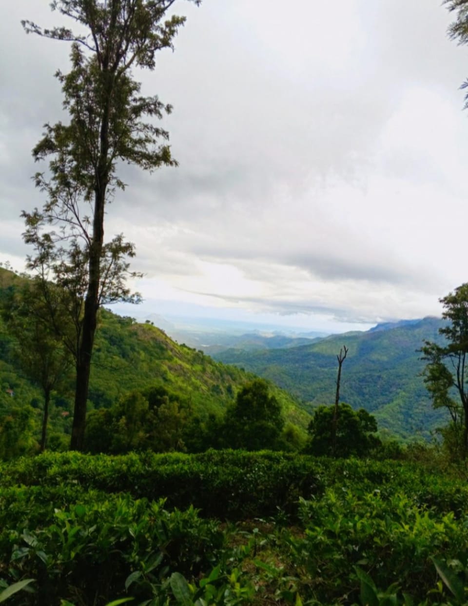 Mountain view