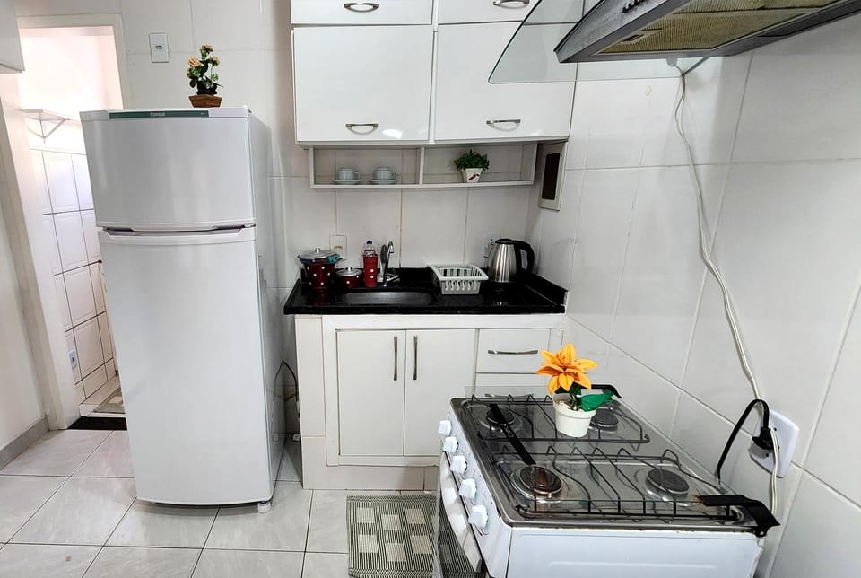 Coffee/tea facilities, Kitchen or kitchenette, minibar, oven, stove