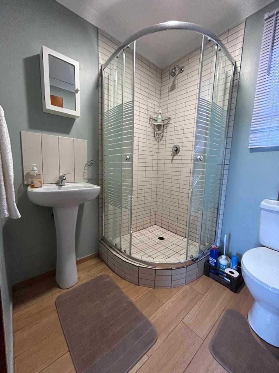 Shower, Toilet