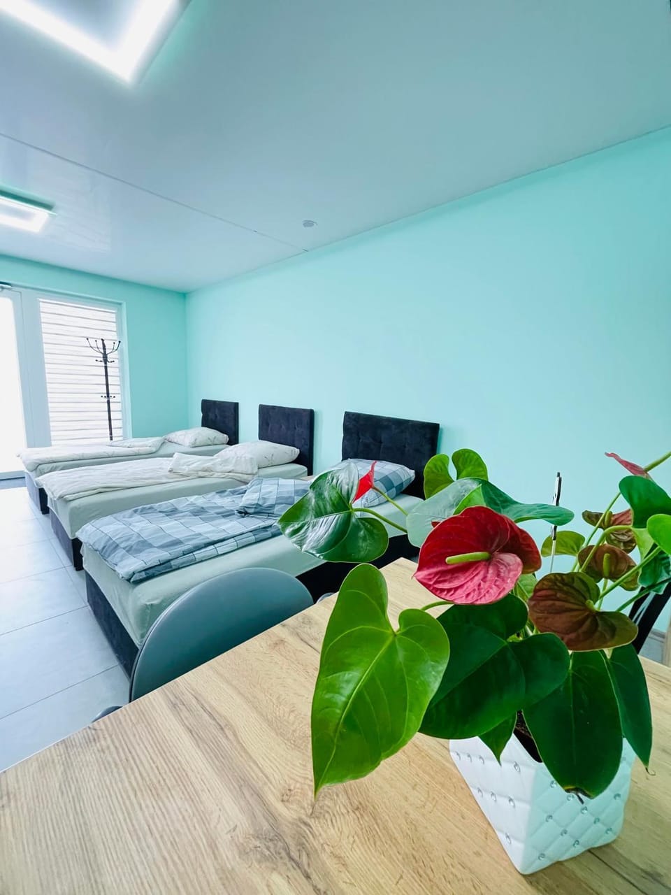 Bed, Living room, Photo of the whole room, Seating area, Bedroom