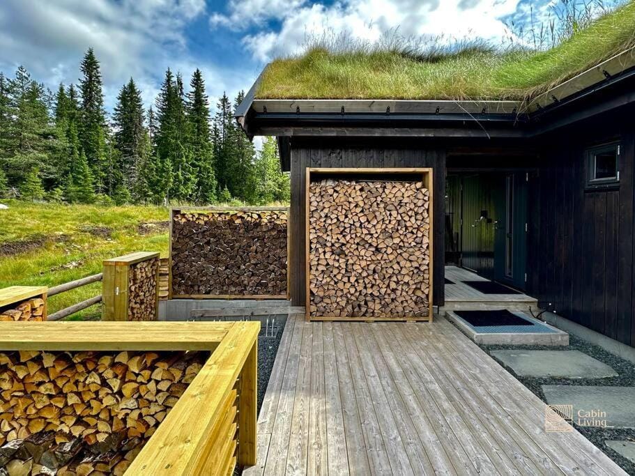 High standard cabin at Sjusjøen sauna, hot tub & ski trails right outside Cabin in Innlandet
