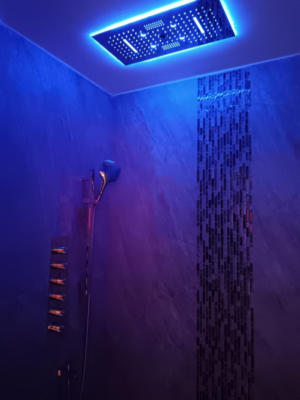 Spa and wellness centre/facilities
