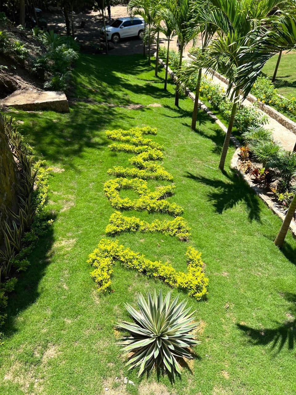 Off site, Day, Natural landscape, Garden, Garden view