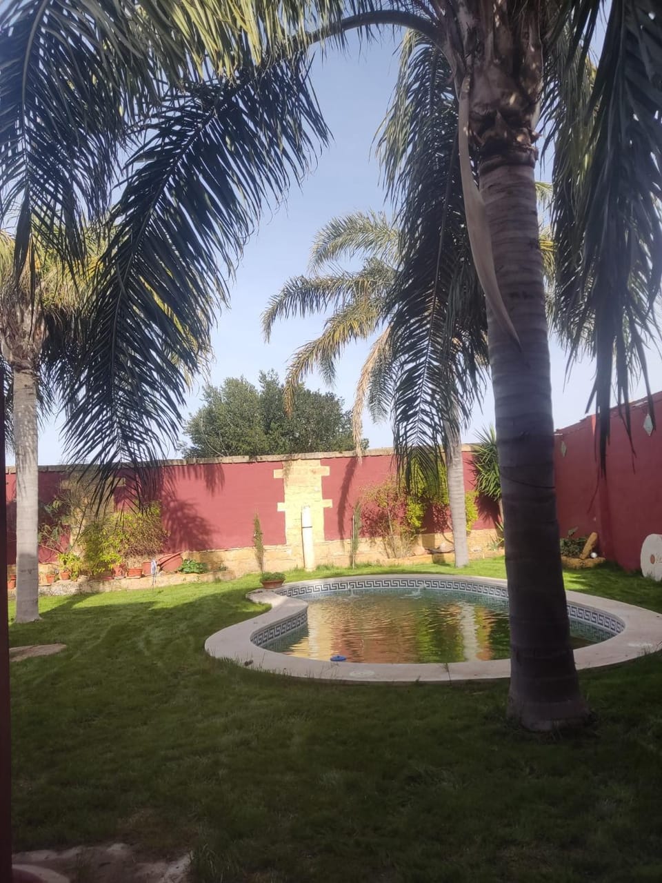 Apartamentos las palmeras Estepa Apartment in Andalusia