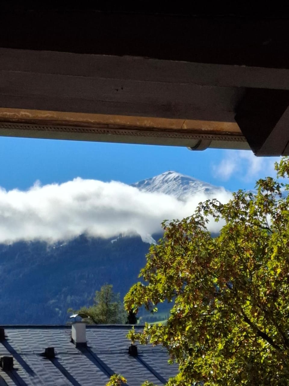 View (from property/room)