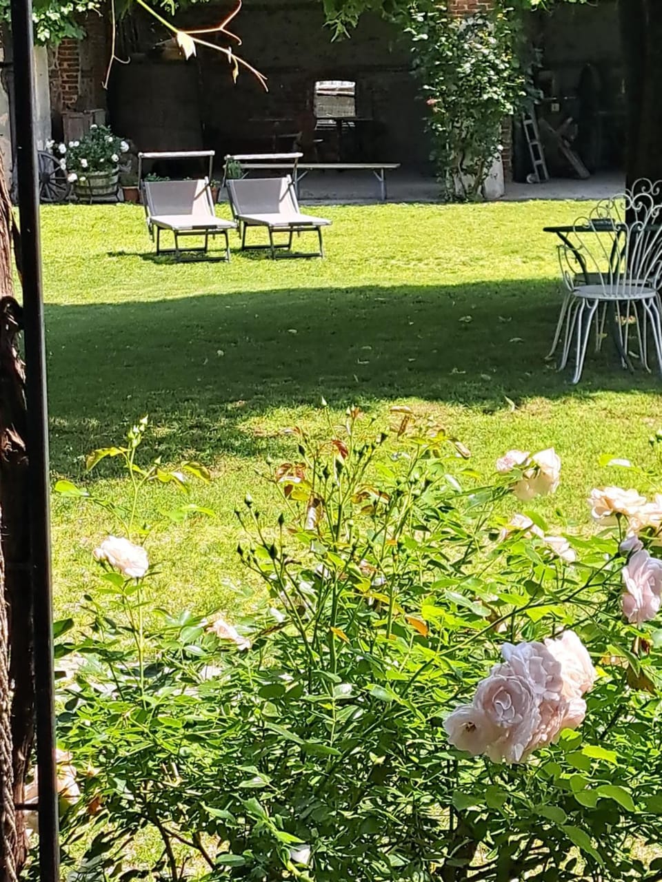 Day, Natural landscape, Garden, Garden view