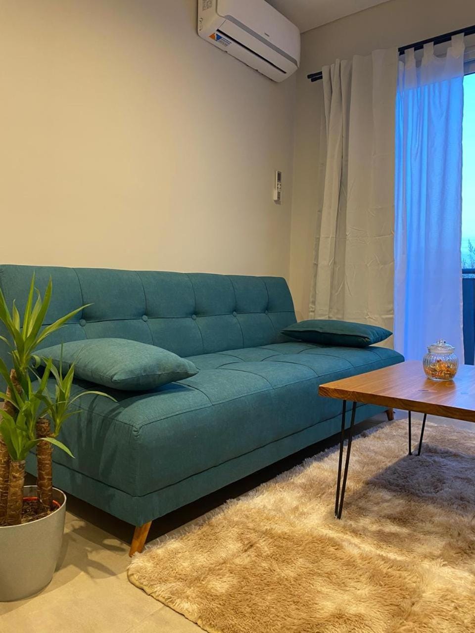 Living room, air conditioner
