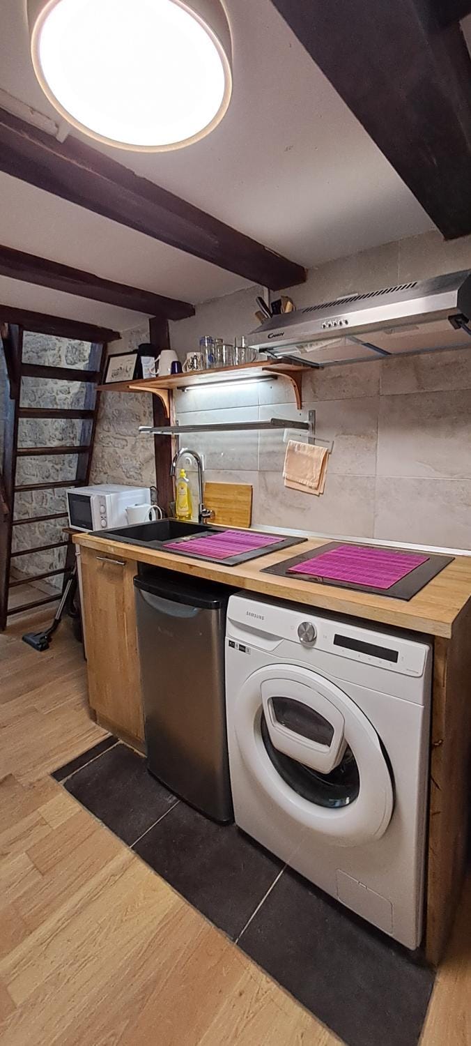 ÉCHAPPÉE Parisienne Apartment in Paris