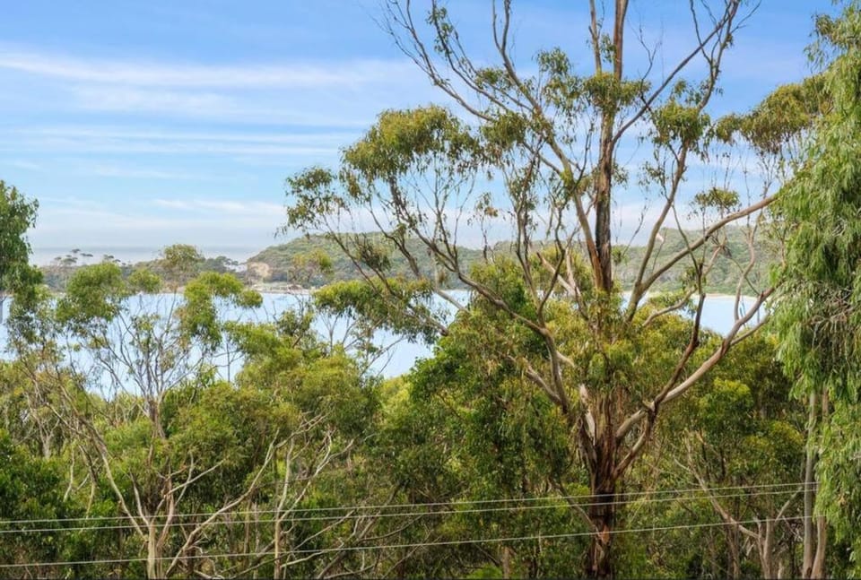High View House - Views over Pirates Bay House in Eaglehawk Neck