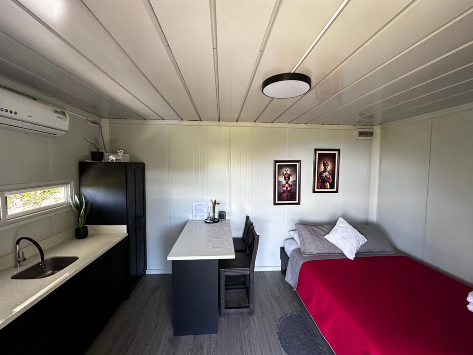 Kitchen or kitchenette, Living room, Bedroom