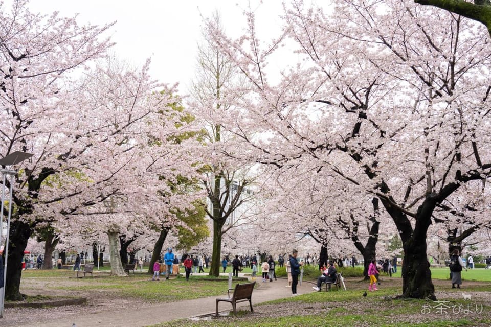 Spring, Natural landscape