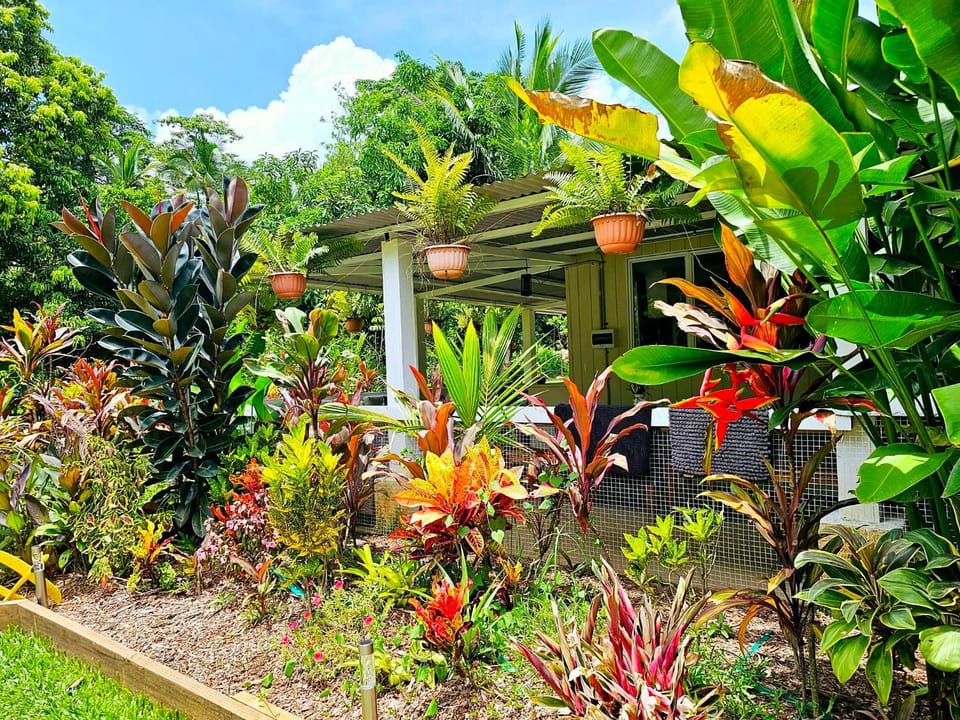 Garden, Garden view