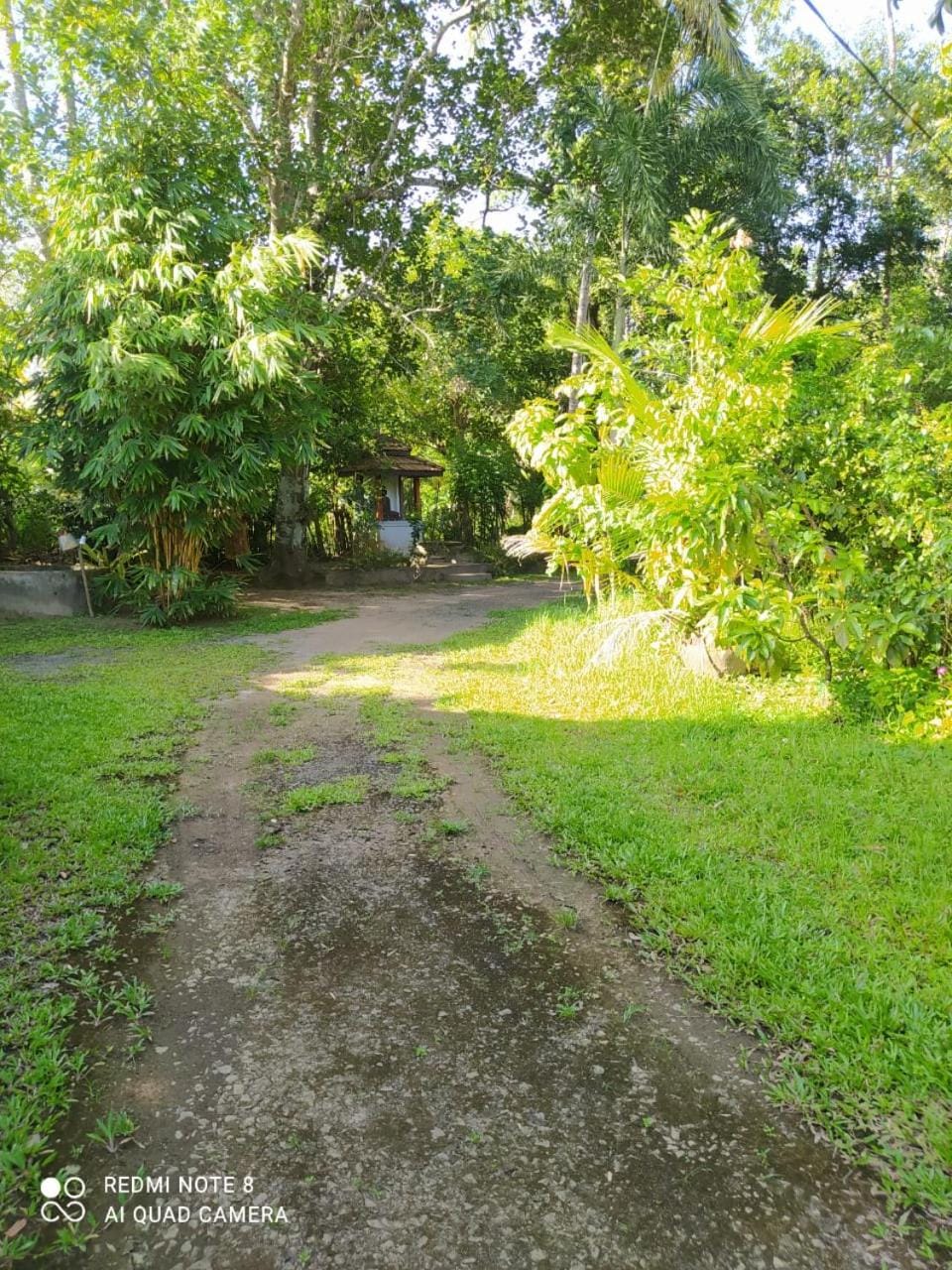 Garden, Landmark view