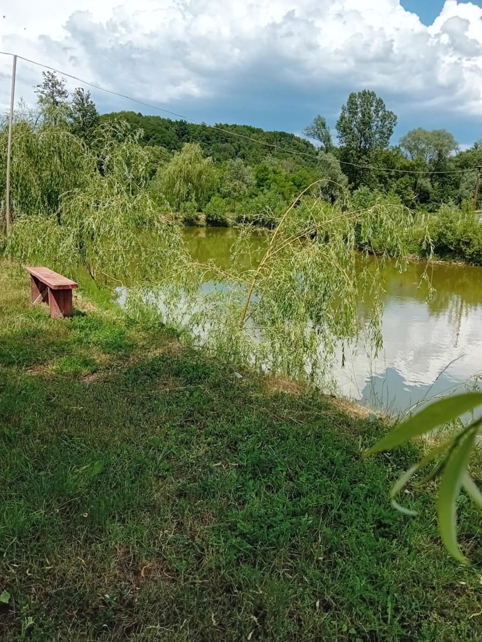 Camera Verii Nature lodge in Romania